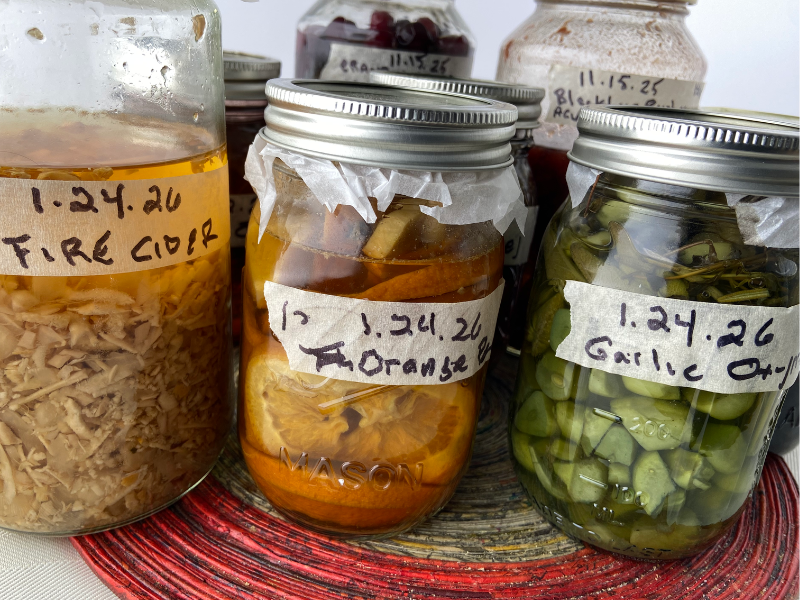 oxymels in jars fermenting with orange peel, garlic, fire cider, and otehr mixes
