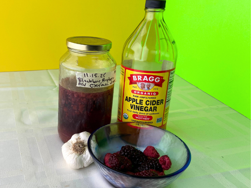 Vinegar Oxymel Guide for Health (Plus 3 Easy Oxymel Recipes) shot of a fermenting raspberry oxymel in a jar next to a bottle of apple cider vinegar, raw garlic and a bow of fresh raspberries