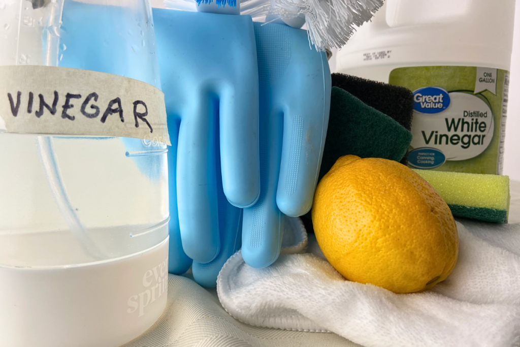 atv cleaning distilledvinegar glassspraybottle brushes sponges microfibercloth lemon closeup v01.webp