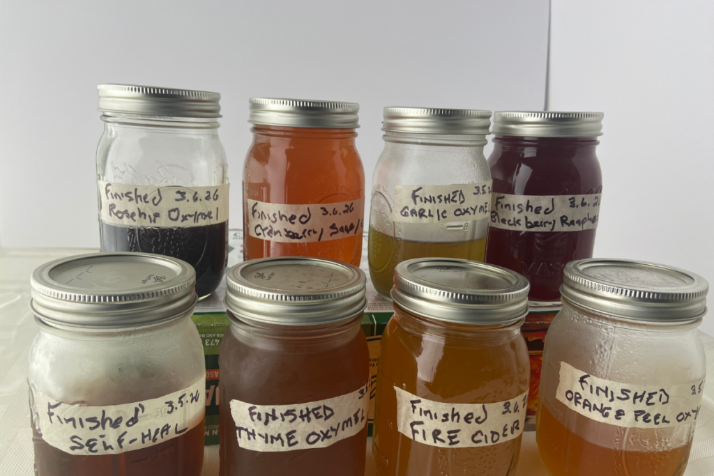 colorful, homemade oxymels vinegar drinks in glass mason jars.