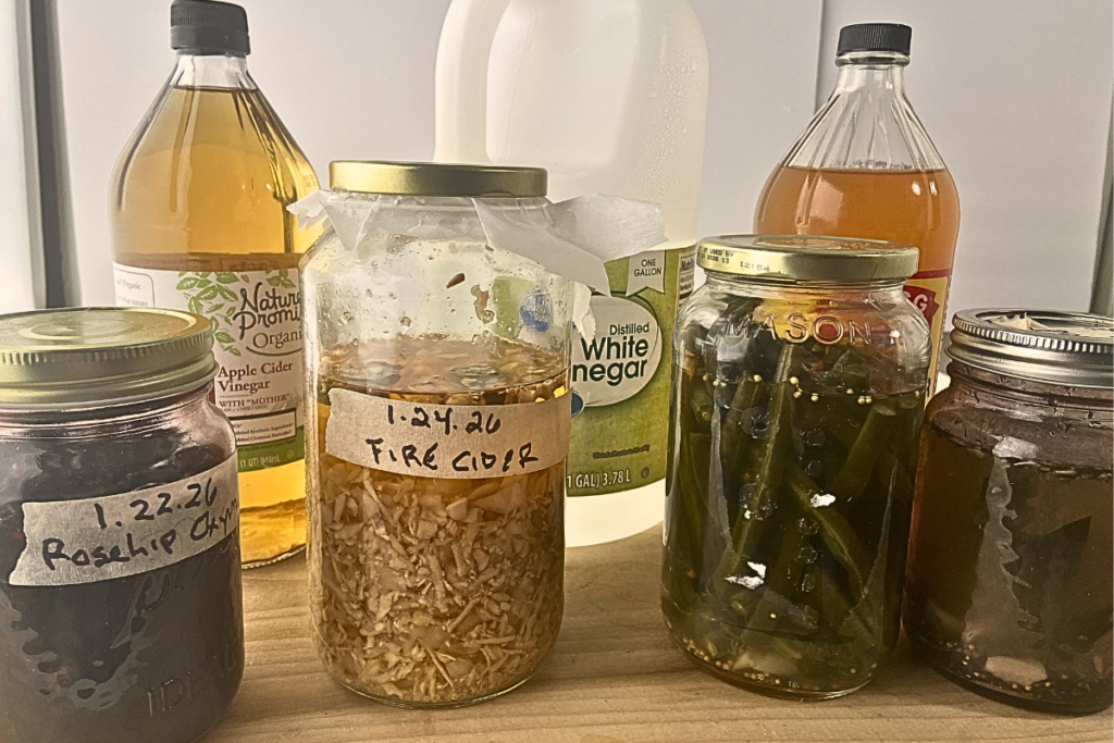 Collection of rosehip oxymel jar, apple cider vinegar bottle, jar of fire cider, jug of white distlled vinegar, pickled string in jar, pickled cucumber in jar