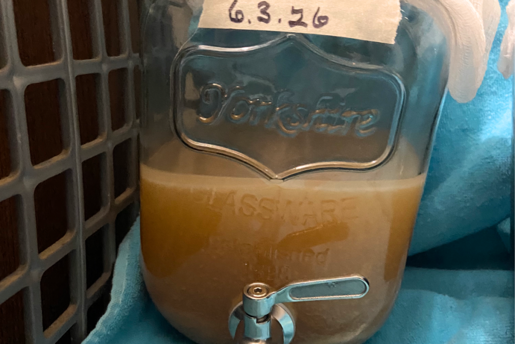 closeup of a beverage dispenser with fermented cider turning into apple cider vinegar