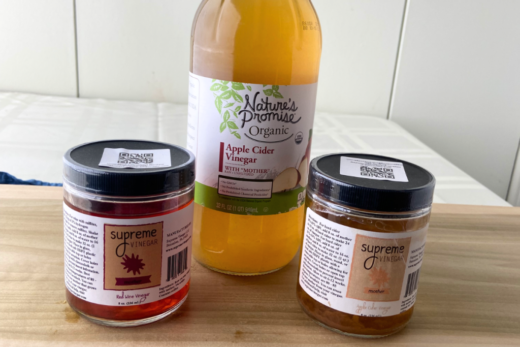 atv food&drink redwinevinegar motherexamples v01