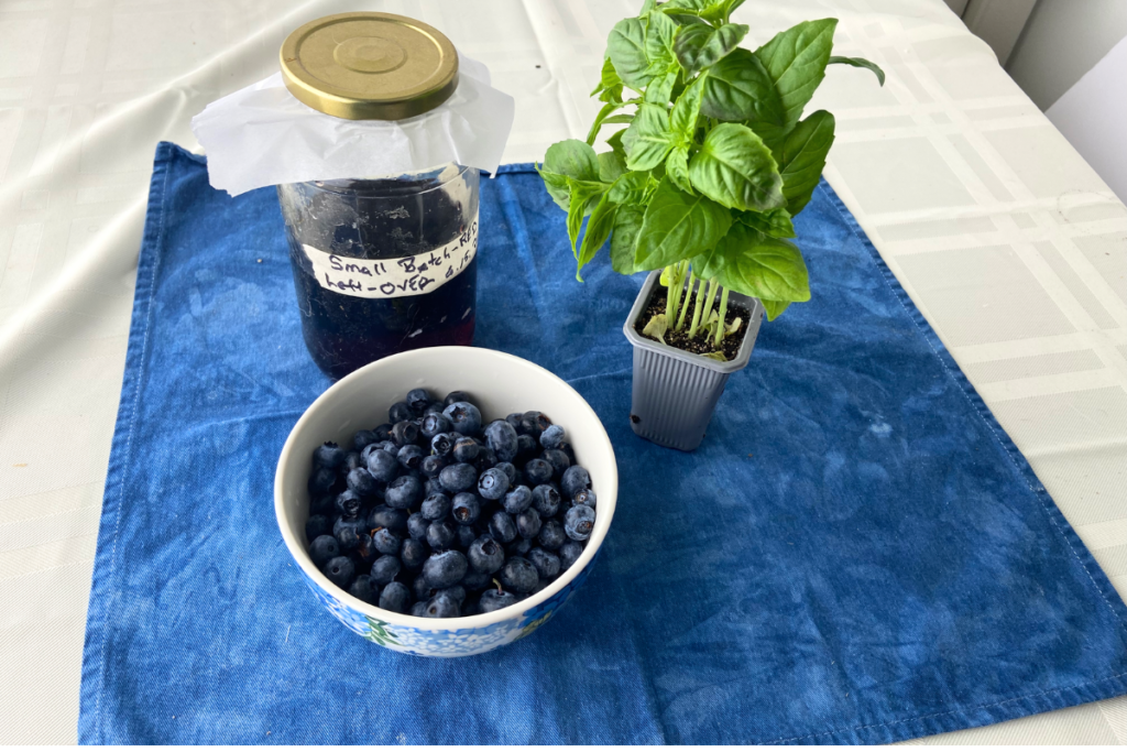 a jar of red wine vinegar, fresh basil, and bowl of blueberries assembled to make blueberry-basil red wine vinegar shrub.